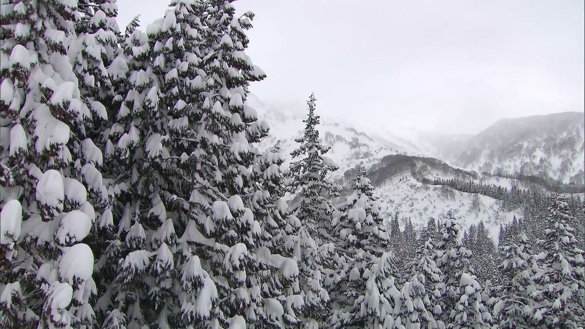 新潟でスノーボード滑走していた外国籍の女性が滝つぼに転落 安否不明