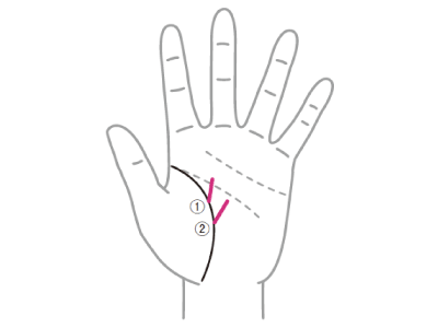 普段から想い描いている幸せが突然訪れたりする『開運線』とは！？【手相の教科書】