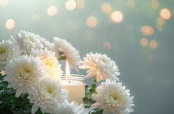 ��ͥ�����Ṹ�Ҥ�����̿��ϥ��᡼���Ǥ���Mirecat��stock.adobe.com��