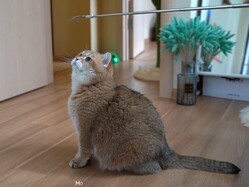 ��¹�μ�פ����ˤʤ롩