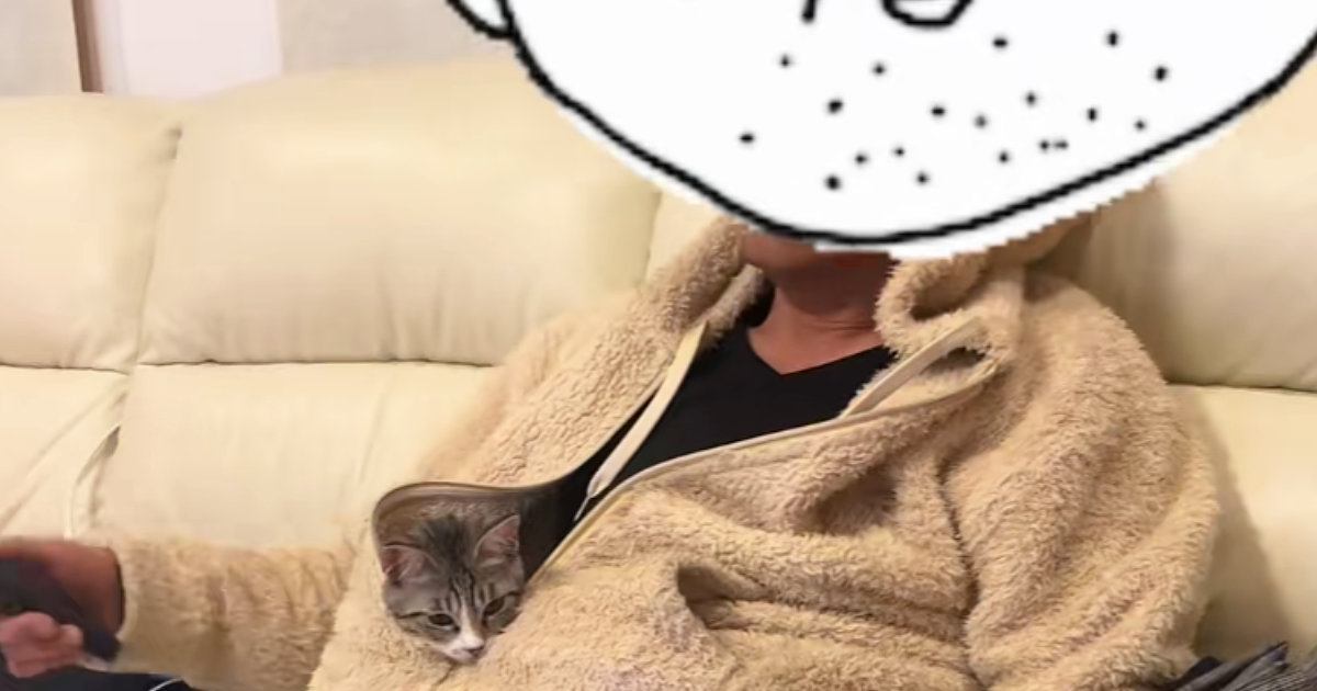 自称猫アレルギーの父』→保護猫を迎えた結果…想像もしなかった