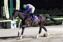 �彣���ŵ�����쥤�ȥѡ��� (C)���츩�����ȹ�