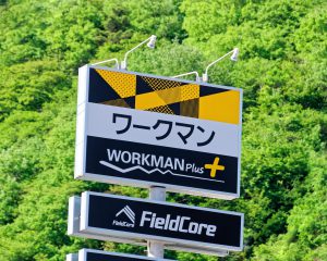 今春登場、ワークマン「珠玉アイテム」紹介 歴史的傑作から学んだTシャツも