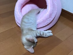 �ܳФ᤿�Ф���λ�ǭ