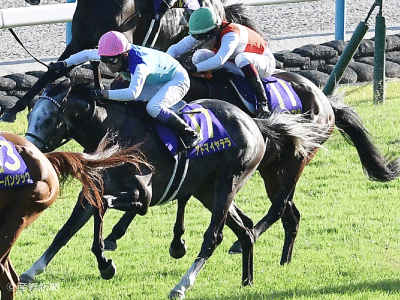 菊花賞】上位人気馬もいたが全滅！馬券を買ってはいけない産駒と