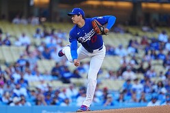 ���󥼥륹�����ȯ���Ĥ����ɥ��㡼������ë��ʿ�ڼ̿�������ʹ�ˡ�