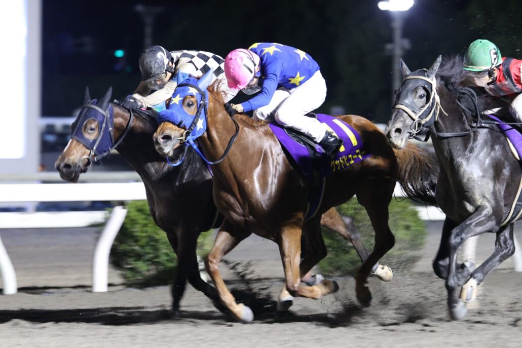 黒潮マイルCS・グッドヒューマーと妹尾浩一騎手 (C)高知競馬組合