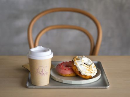 京都の絶品持ち帰りスイーツ7選