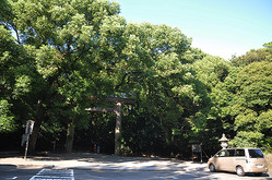 1_DSC_0667