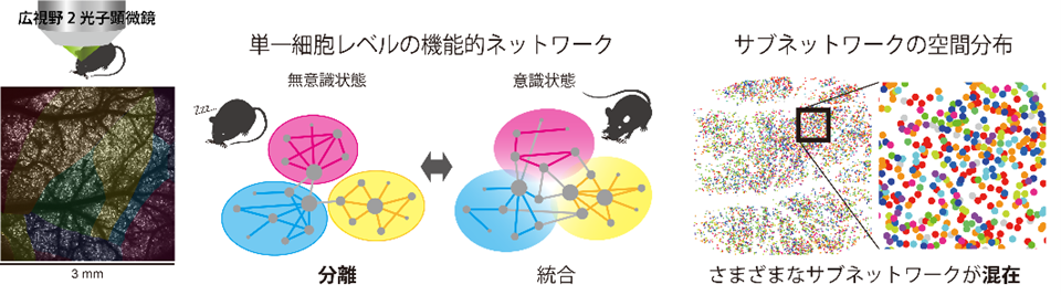 �ڲ��ͻ�Ω��ء۰ռ���̵�ռ�Ǿ�Ǥο��ФΤĤʤ������βĻ벽������