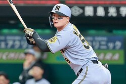 �����ץ�����κ����������ڼ̿������ӵ�����