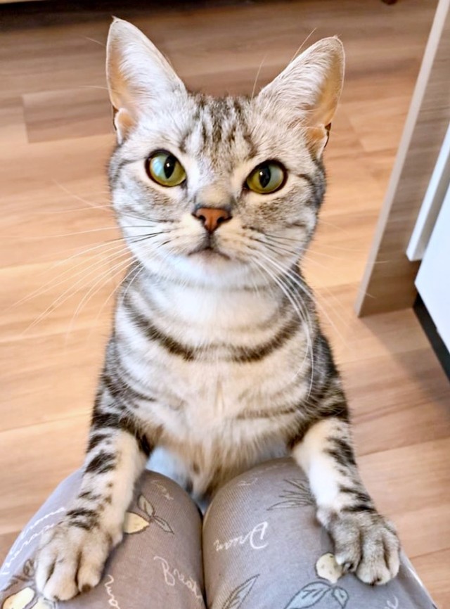 ゙Ϥ󥢥゚뤹뤢󤳤ʲ󶡡󤳤Ȥʤ Ťͤ