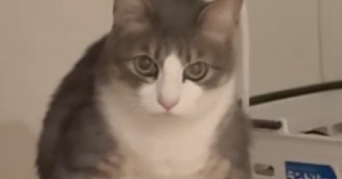 ܤФᡢӥ󥰤˹ԤȤʤξǺ¤äƤǭ