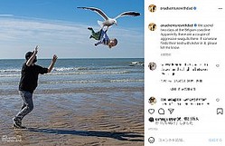 海で我が子がカモメに連れ去られる!?（画像は『On Adventure With Dad　2021年6月29日付Instagram「We spend two days at the Belgian coastline.」』のスクリーンショット）