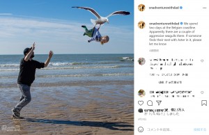 海で我が子がカモメに連れ去られる!?(画像は『On Adventure With Dad 2021年6月29日付Instagram「We spend two days at the Belgian coastline.」』のスクリーンショット)