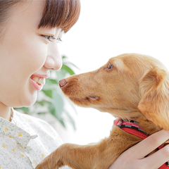 ペットロス から立ち直れずうつ状態 愛情注ぐ人が増えたことも原因か ライブドアニュース ペットロス から立ち直れずうつ状態 愛情注ぐ人が増えたことも原因か ライブドアニュース