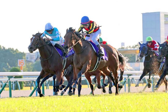 G1第70回有馬記念、前日最終オッズを発表「まともに買うと堅すぎ」思惑様々