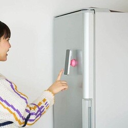 ��ʬ���껣�ƻ��ʤɤζ���̣��
