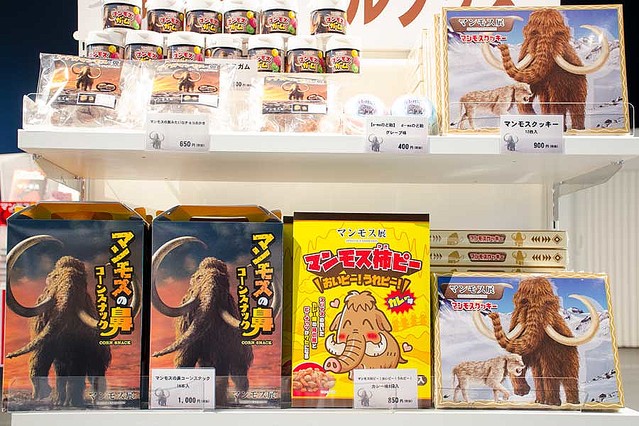 マンモス展　日本科学未来館　～11/4まで　大人2枚 小中高2枚 4枚セット 家族ファミリーで マンモス展 | 日本科学未来館 | 美術館・展覧会情報サイト アート
