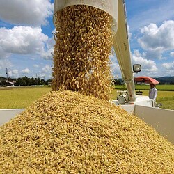 �������������������ġʣá˶�Ʊ�̿���