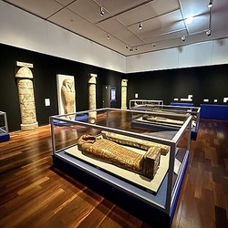 �ߥ��餬������Ķ�������٤Υϥ륫���ؤ�äƤ������֥֥�å������ʪ�۽�¢ ����Ÿ ���奨���ץȡ�