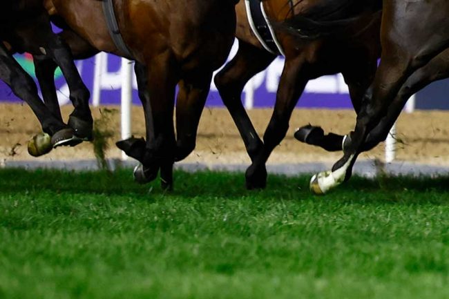 馬群が進む方向に乱入する人物が出現（画像はイメージ）