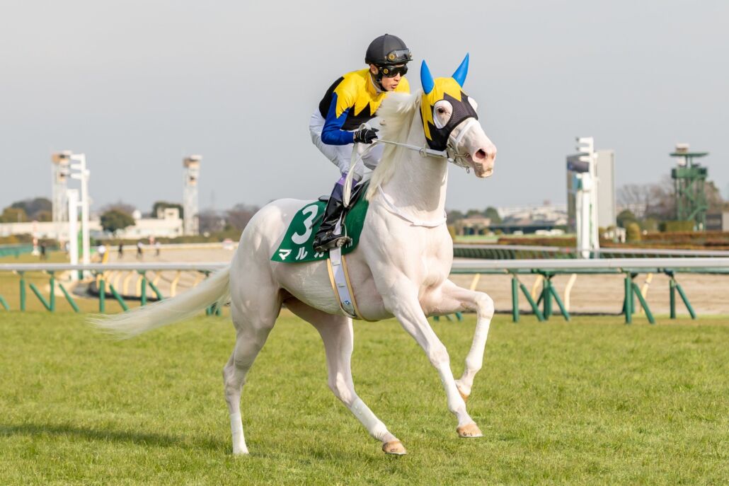 クイーンC・マルガと武豊騎手