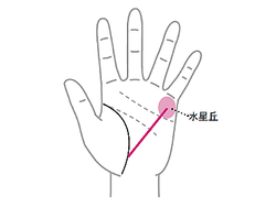 �и����Ѥ�Ǥ���ʬ�����Ω���Ȥ�������������ͤ����ġص������٤Ȥϡ����ڼ���ζ��ʽ��