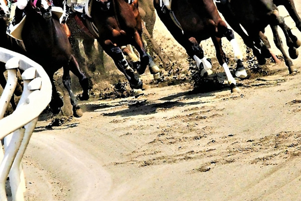 じゃい、競馬で6,400万円当てるも破産 法律への疑問に賛同の声