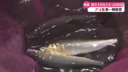 RKC��������