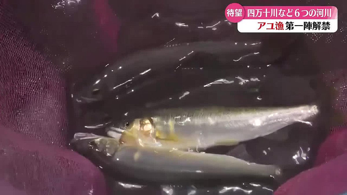 RKC高知放送