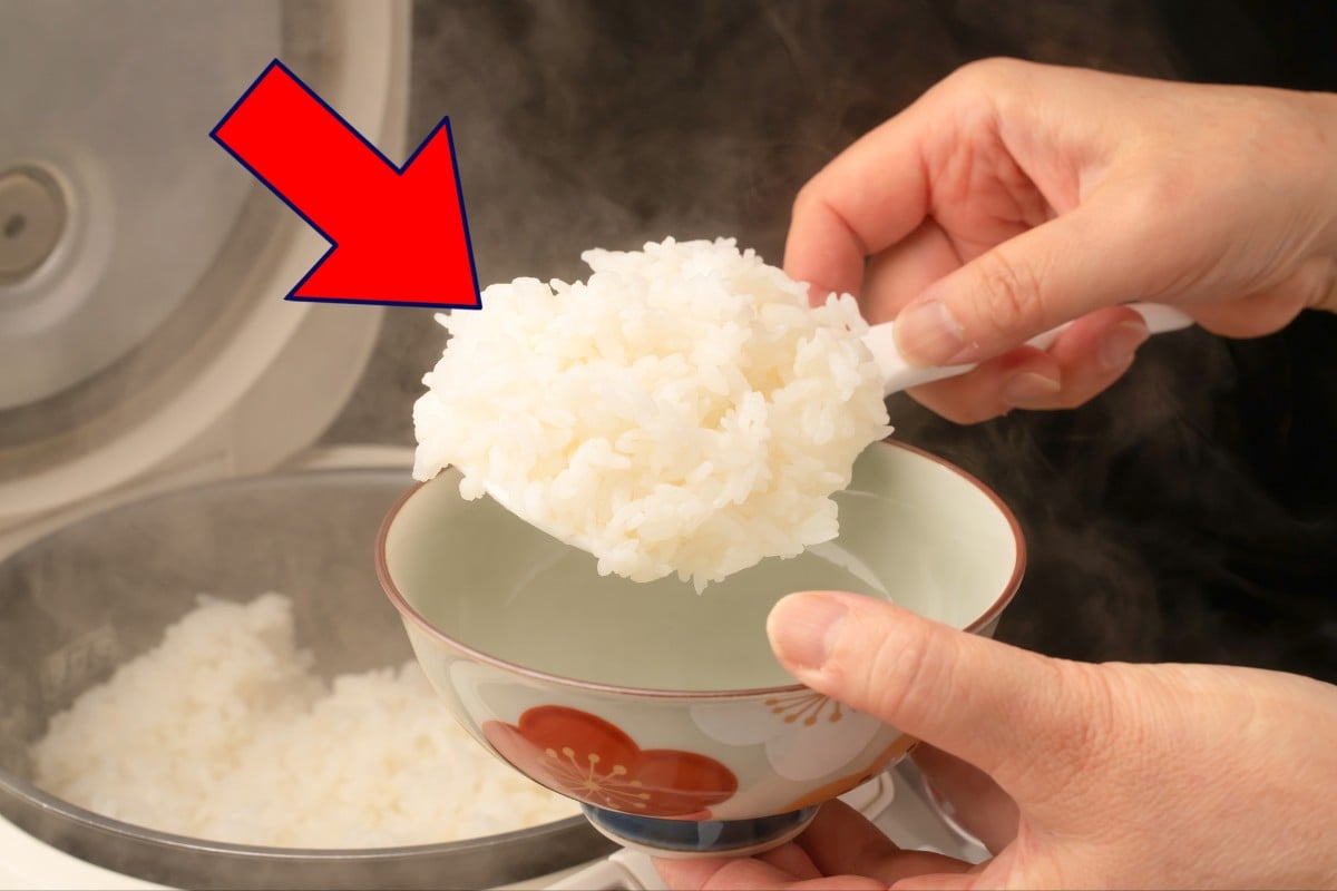 この動作のこと、何と言ってる?