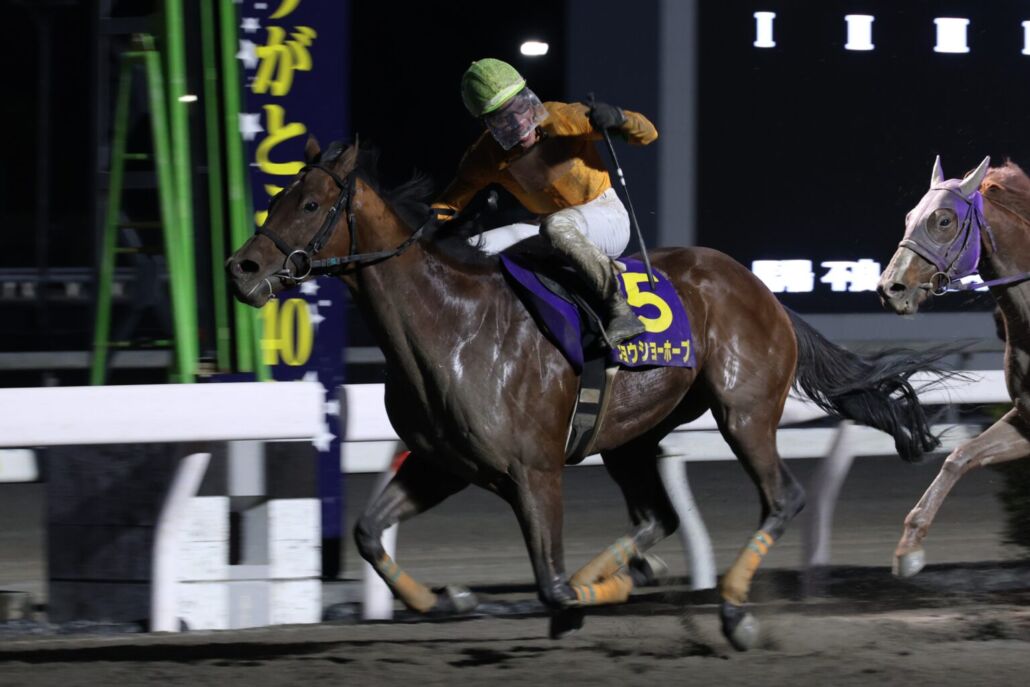 御厨人窟賞・ジョウショーホープと岡村卓弥騎手 (C)高知県競馬組合