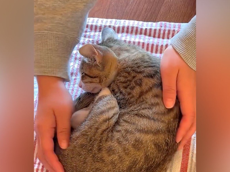 ǭ���������ǭ���͡פθ��ʤ�67������ ����Ũ�ʻž夬���