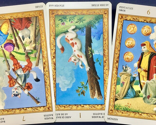  �ڻ�Һ¡۽��֥����å��ꤤ���轵��2022ǯ6��13����6��19���դ����籿�������� 