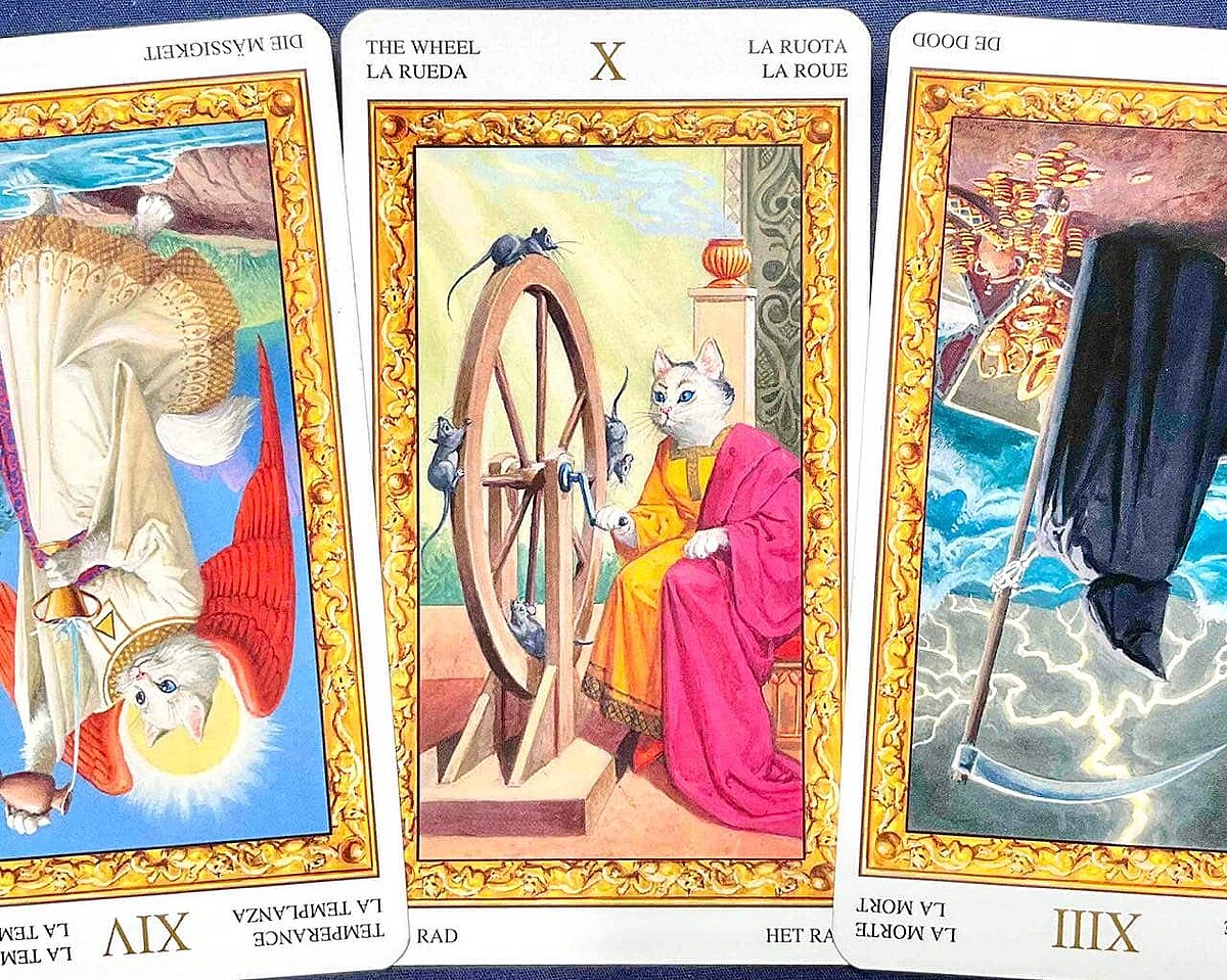  ���лҺ¡۽��֥����å��ꤤ���轵��2026ǯ4��6����4��12���դ����籿�������� 