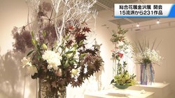 �ƥ�Ӷ���NEWS