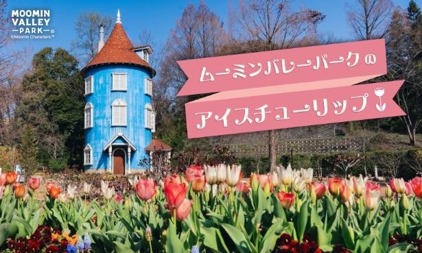 ムーミンバレーパークに花と光で楽しむ季節限定演出が登場!アイスチューリップで冬景色が一変