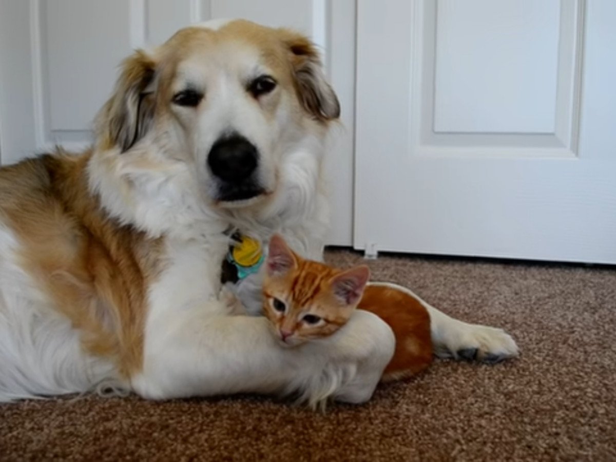 ǭζ̣ҤΡ֥ѡġפϡ