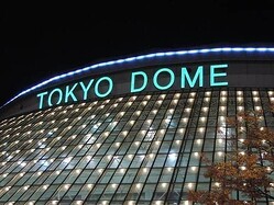 ���䥸�㥤����Ĥ��ܵ��ϡ�����ɡ���