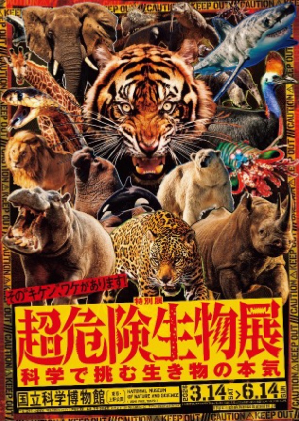 特別展『超危険生物展 科学で挑む生き物の本気』!巨大ワニから猛毒生物まで“本気”を科学で解明