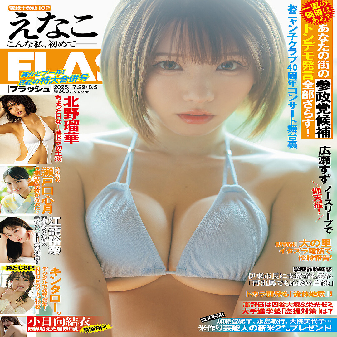 皆藤愛子　グラビア切り抜き　週刊ビッグコミックスピリッツ　No.1188　小学館 皆藤愛子 グラビア切り抜き 週刊ビッグコミックスピリッツ No.1188 小学館