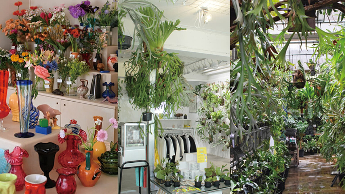 気分を浄化してくれる植物アイテム おすすめスポット3選