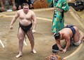 武蔵川親方「安青錦は自分の力を出し切...
