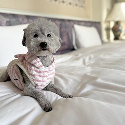 ���～���ͤ��饢������ȴ�������ԥۥƥ� ����פ������ȥۥƥ륹�ƥ�