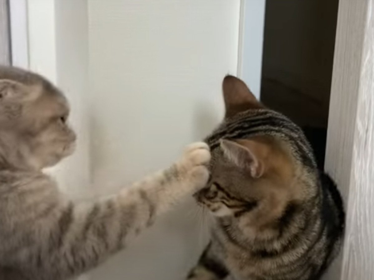 ���θ塢�ճ��ʡ��ˤ�Ÿ���ˡġ�