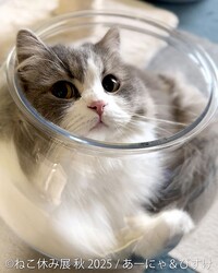 ������ǭ�����ο���Ÿ���⡪�֤ͤ��٤�Ÿ��in ̾�Ų�