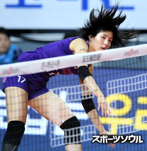 負傷 に悩む女子バレー韓国代表に迫る過密日程 東京五輪まで休むヒマはなし ライブドアニュース