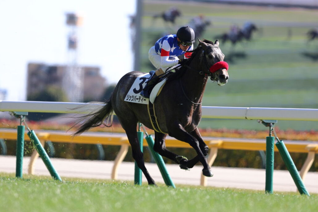 3歳新馬戦・リッツパーティーと柴田善臣騎手