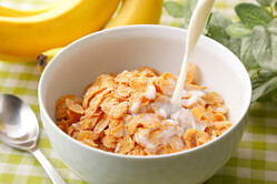 �ճ��˹礦���������礤­���ǡ֥�����ե졼���פγʾ夲�쥷��